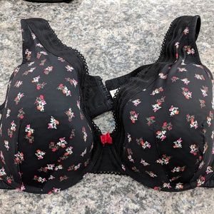 Lane Bryant bra